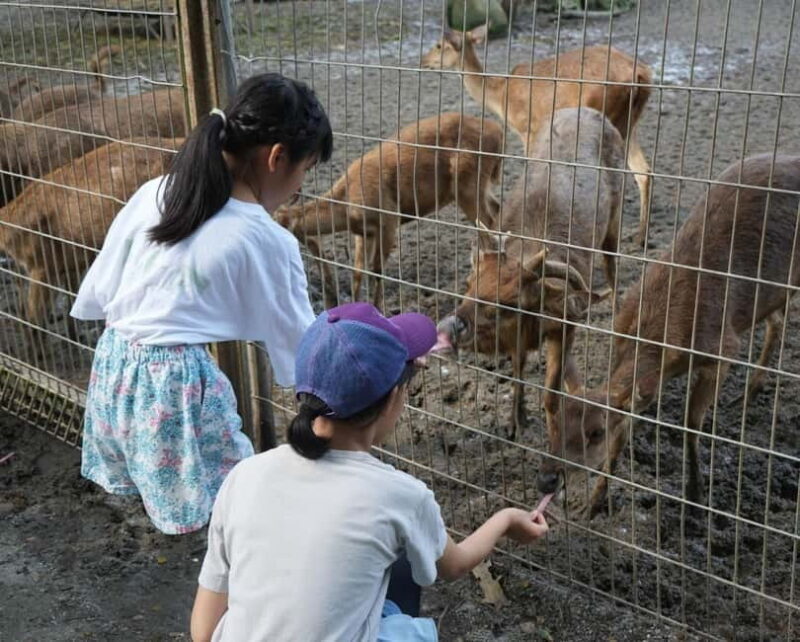 Selangor: Zoo Negara E-Ticket - What to Expect When Visiting Zoo Negara
