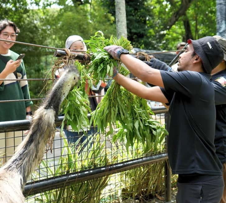 Selangor: Zoo Negara E-Ticket - Practical Tips for Visiting Zoo Negara