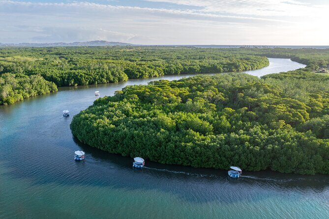 Self Drive BBQ eBoat Cruise with Onboard BBQ Denarau Fiji - Key Points