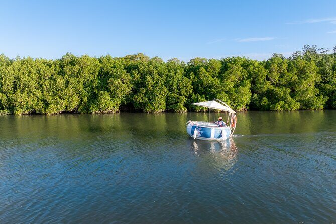 Self Drive BBQ eBoat Cruise with Onboard BBQ Denarau Fiji - Who Should Consider This Experience?