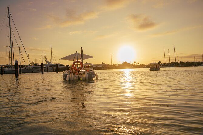 Self Drive BBQ eBoat Cruise with Onboard BBQ Denarau Fiji - Final Thoughts: Why This Tour Delivers Joy and Value