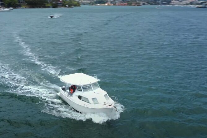 Self Drive Boat Hire Sydney Harbour (No license required) - Who Will Love This Experience?