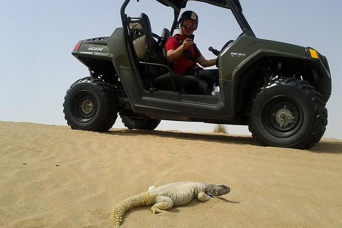 Self-Drive Buggy (Shared Buggy-2 people) or Quad Bike Safari - Final Thoughts: Is It Worth It?