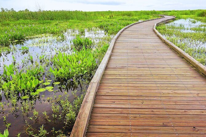 Self-Guided Audio Driving Tour in Creole Nature Trail - An In-Depth Look at the Experience