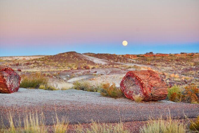 Self-Guided Audio Driving Tour in Petrified Forest National Park - A Deep Dive into the Experience