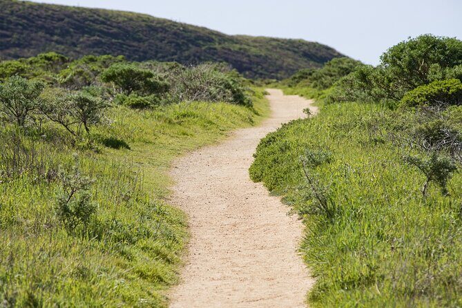 Self-Guided Audio Driving Tour of Point Reyes National Seashore - An In-Depth Look at the Tour Experience