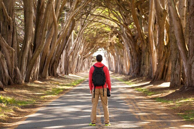 Self-Guided Audio Driving Tour of Point Reyes National Seashore - Final Thoughts