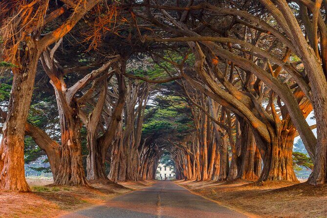 Self-Guided Audio Driving Tour of Point Reyes National Seashore - FAQ