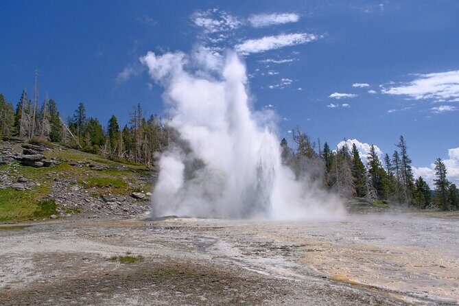 Self Guided Audio Walking Tour of Old Faithful Geyser Basin - Who Should Consider This Tour