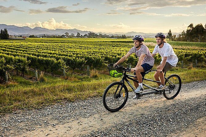 Self-Guided Biking Wine Tour (full day) in the Marlborough Region. - The Verdict