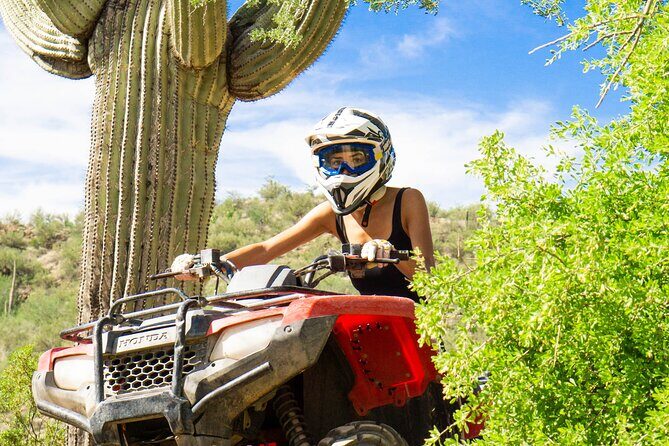 Self-Guided Centipede Desert ATV Rental - Practical Tips for Your Ride