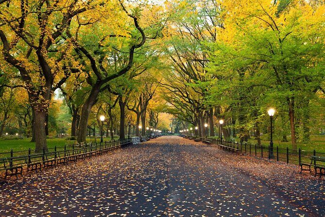 Self Guided Central Park Scavenger Hunt - FAQ