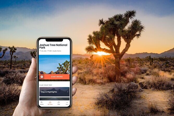 Self-Guided Driving Audio Tour in Joshua Tree National Park - A Deep Dive into the Joshua Tree Audio Tour