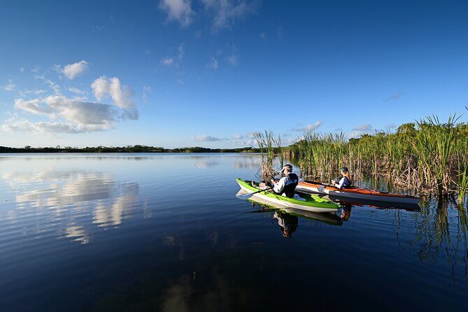 Self Guided Driving Audio Tour of Everglades National Park - The Experience—What Travelers Say