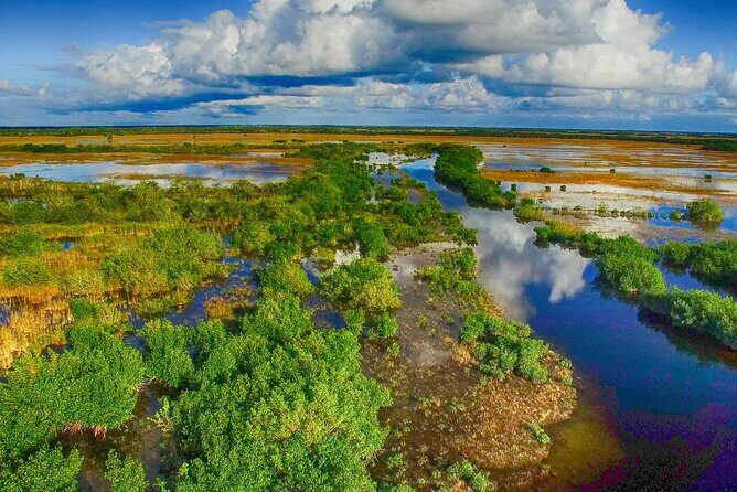 Self Guided Driving Audio Tour of Everglades National Park - Practical Tips for a Smooth Tour