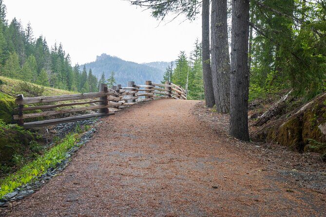 Self Guided Driving Audio Tour of Mount Rainier National Park - Practical Details and Tips