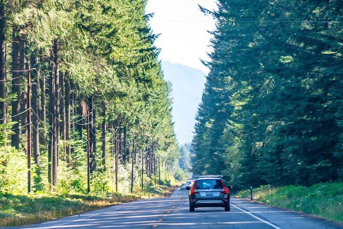 Self Guided Driving Audio Tour of Mount Rainier National Park - The Sum Up