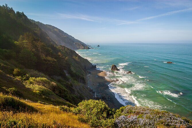 Self Guided Driving Audio Tour of Redwood National and State Park - Key Points