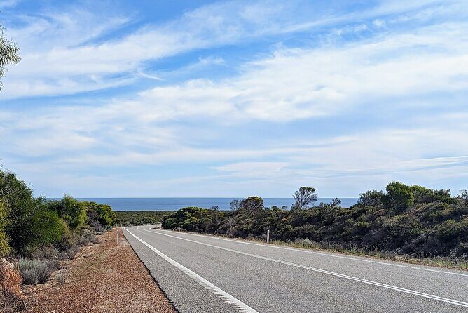 Self Guided Driving Tour in Perth to Pinnacles Turquoise Coast - The Pinnacles: A Surreal Desert Landscape
