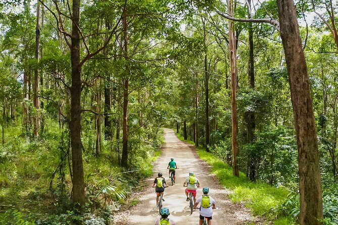 Self Guided E Bike Tour - Unicorn Falls, Rainforest & Rail Trail - A Detailed Look at the Tour Experience