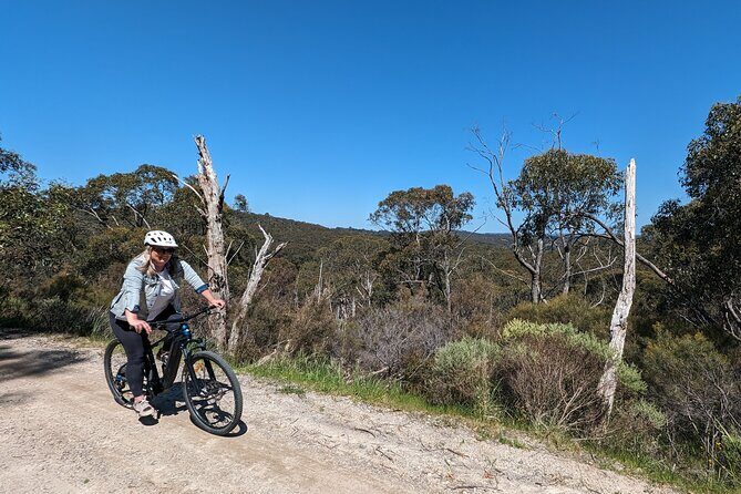 Self Guided Ebike Winery Tour in the Adelaide Hills - The Itinerary in Detail
