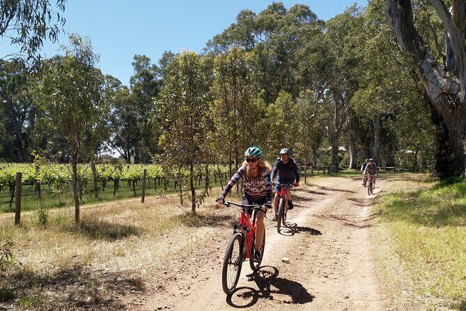 Self Guided Ebike Winery Tour in the Adelaide Hills - Who Should Consider This Tour?