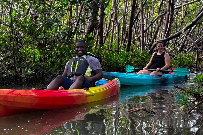 Self Guided EcoTour: Clear/Standard Kayaks -Bonita Springs - An In-Depth Look at the Experience