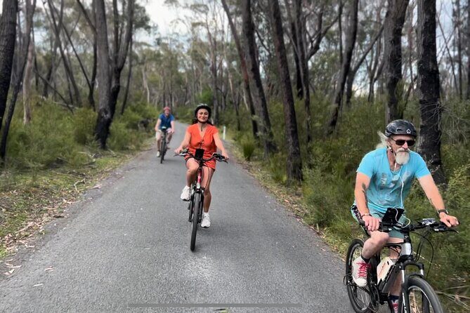 Self Guided Electric Bicycle Tour of Bundanoon - An In-Depth Look at the Self-Guided E-Bike Tour