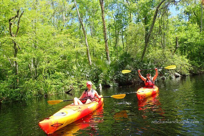 Self Guided Family Friendly Kayak Rental Experience Old Florida - Exploring the Best of Old Florida: A Self-Guided Kayak Rental Experience