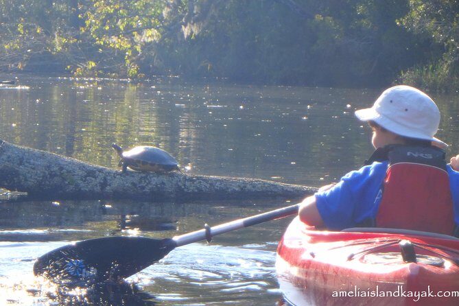 Self Guided Family Friendly Kayak Rental Experience Old Florida - Who Will Love This Experience?