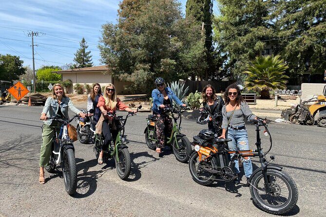 Self Guided Full Day E-bike Rental With Picnic Lunch - Who Will Love This Tour?