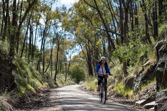 Self-Guided Gourmet Culinary Cycling Day Tour From Beechworth - Who Will Really Enjoy This Tour?
