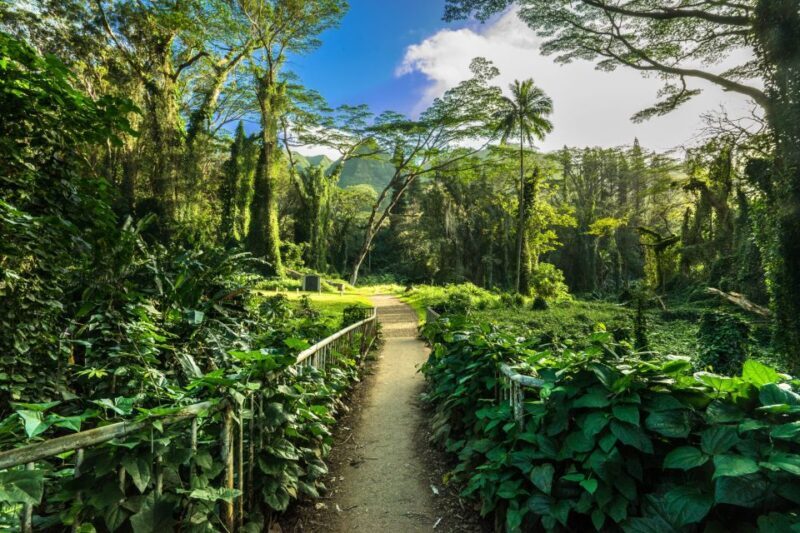 Self Guided Hike Trail to Nature Walk & Waterfall - Exploring the Self-Guided Hike Trail to Nature Walk & Waterfall in Hawaii