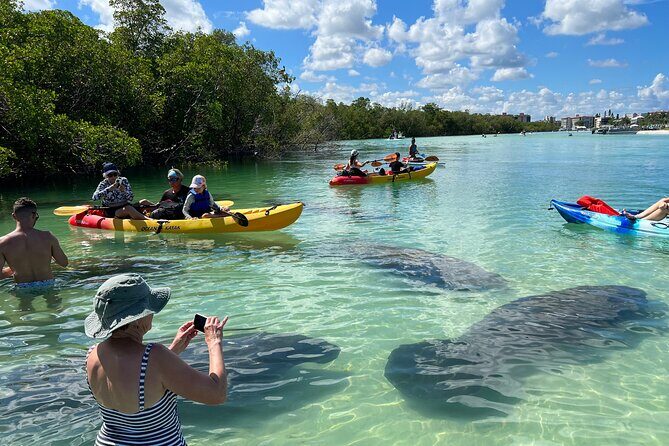 Self-Guided Island Tour: CLEAR/Standard Kayak, SUP-Bonita Springs - Key Points