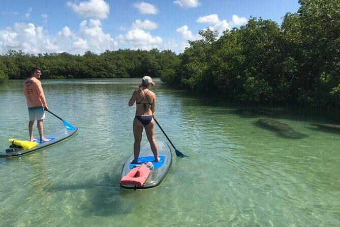 Self-Guided Island Tour: CLEAR/Standard Kayak, SUP-Bonita Springs - FAQs