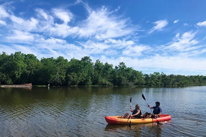 Self Guided Kayak Bayou Swamp Tour - Introduction