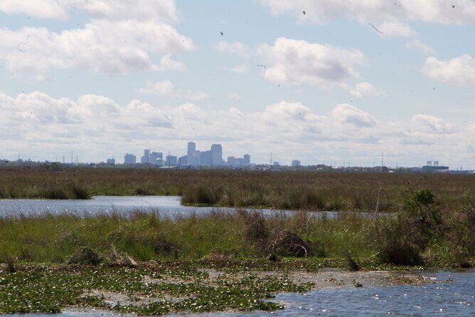 Self Guided Kayak Bayou Swamp Tour - What to Expect on the Itinerary