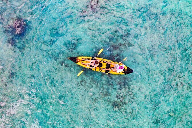Self-Guided Kayaking Tour in Kailua Bay and Popoia Island - Who Will Love This Experience?