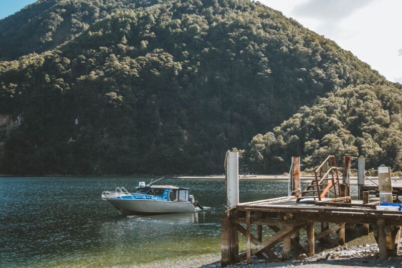 Self-Guided Milford Track Day Walk from Lake Te Anau - Who Should Consider This Tour?