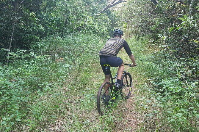 Self-Guided Mountain Bike Tours in Port Douglas - An In-Depth Look at the Tour Experience