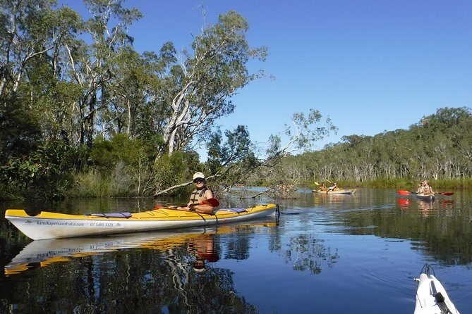 Self-Guided Noosa Everglades Kayak Tour - What Makes This Tour Stand Out
