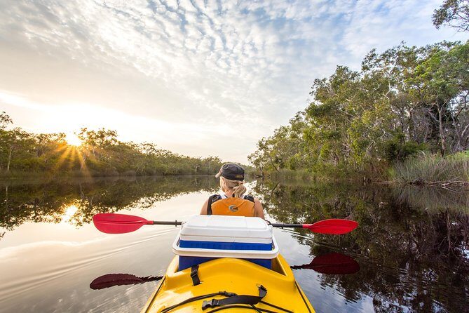 Self-Guided Noosa Everglades Kayak Tour - Detailed Itinerary and Experience Breakdown