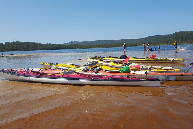 Self-Guided Noosa Everglades Kayak Tour - Why This Tour Works Well