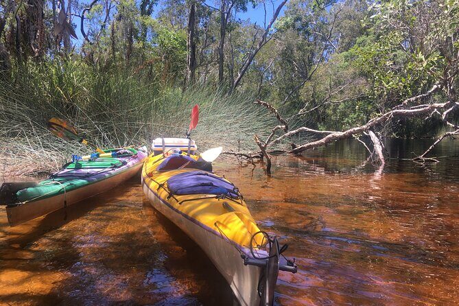Self-Guided Noosa Everglades Kayak Tour - Practical Details & Tips for Travelers