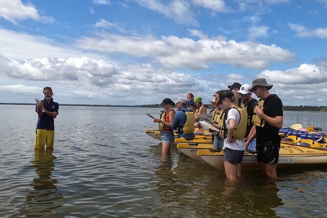 Self-Guided Noosa Everglades Kayak Tour - Final Thoughts: Who Will Love This Experience?