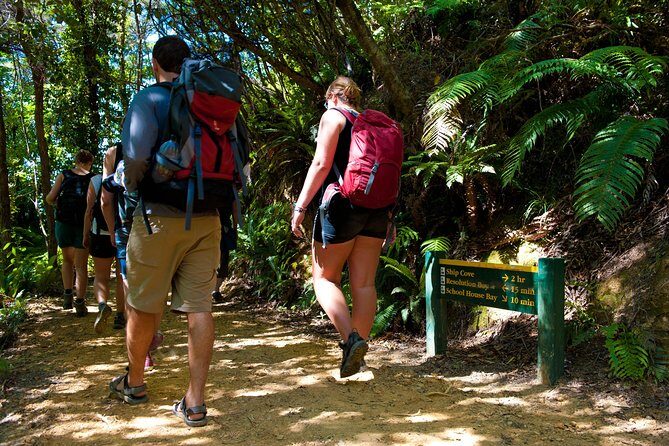 Self-Guided Queen Charlotte Track Walk from Picton - Authentic Experiences and Reviews