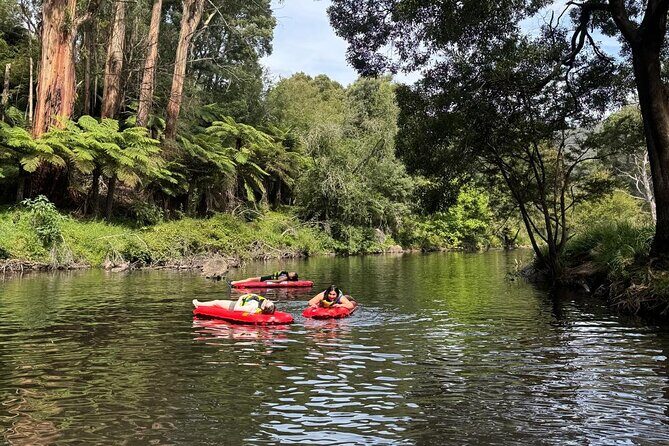 Self-Guided River Sledding Adventure on the Yarra River - The Sum Up: Is It Worth It?