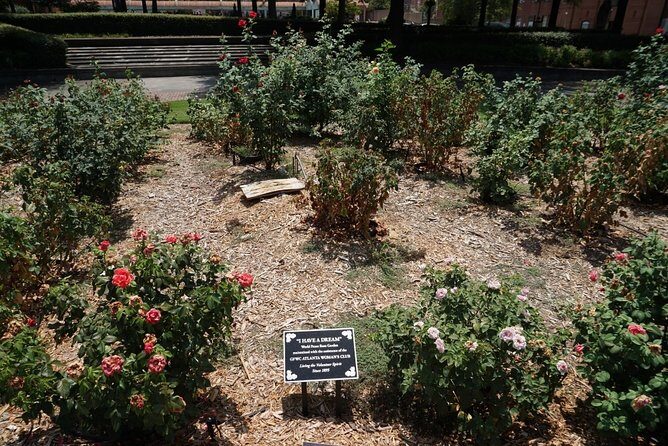 Self-Guided Scavenger Hunt: Sacramento Memento - Practical Tips for Participants