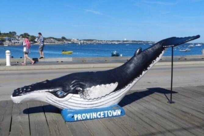 Self-Guided Scavenger Hunt: The Crown Jewel of Cape Cod - Key Points