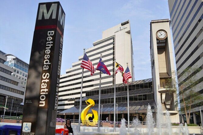 Self-Guided Scavenger Hunt: The Fine (Art) Life in Bethesda - An In-Depth Look at the Experience